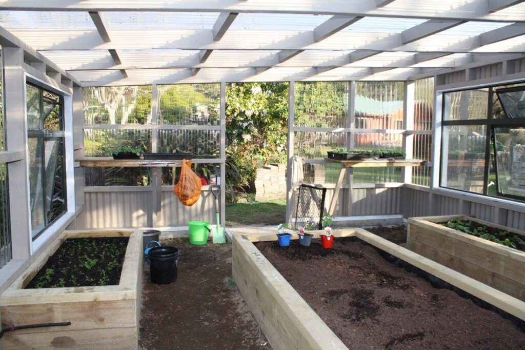 Corrugated clear polycarbonate on a greenhouse NZ