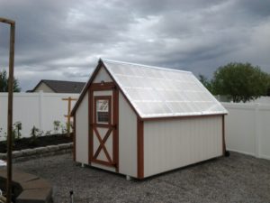 Twinwall_Polycarbonate_Shed_Roof_Sunnyside